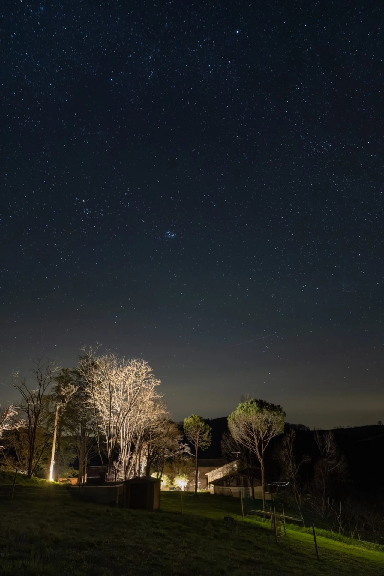Sterrenhemel boven de bomen van La Bastide