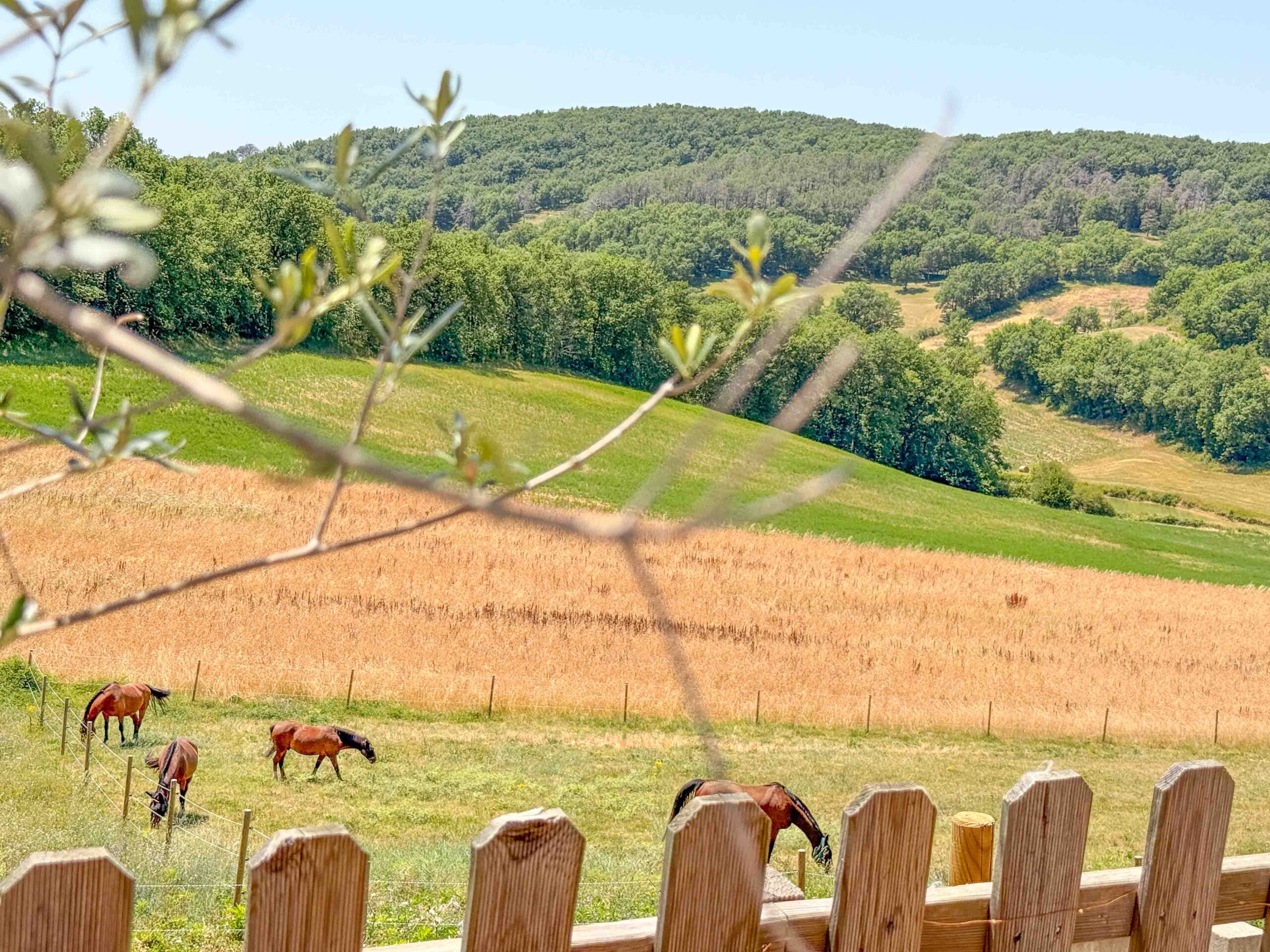 LATERRASSE2WEB